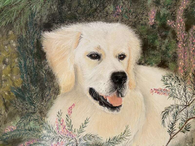 cecile_pradon_-_pastel