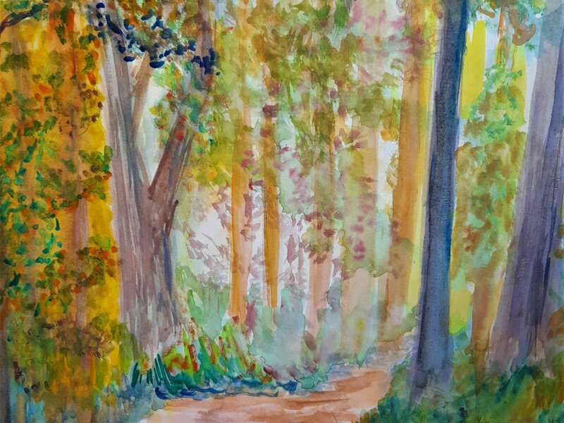 bernard_sgard__-_sous_bois_2