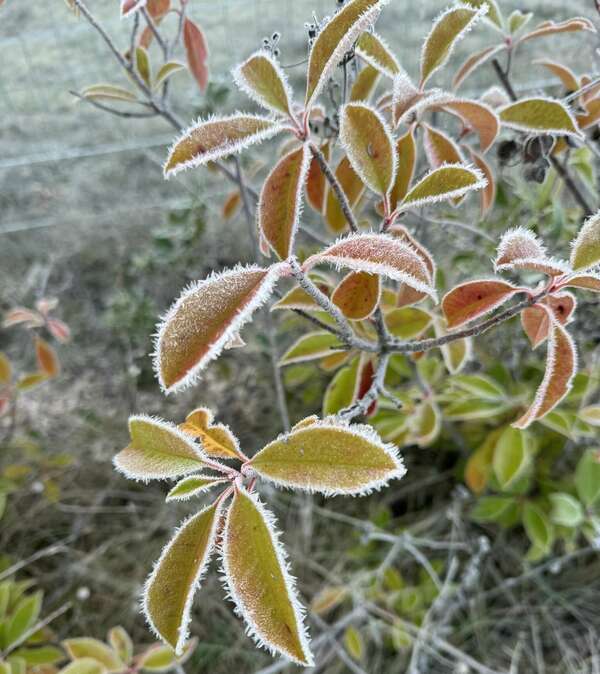 Joyeuses Fêtes à tous !
