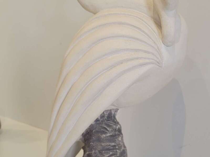 499498625_1276829001111594_7894785480196723814_n