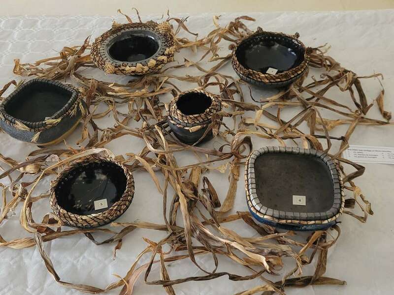 500060332_1276829067778254_2618557600131781675_n