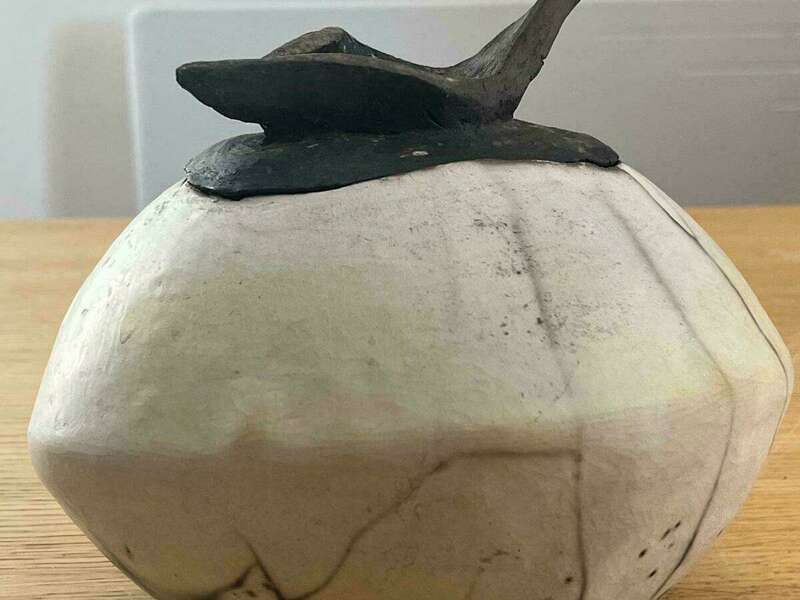 whatsapp_image_2025-06-10_at_17-19-23__2_