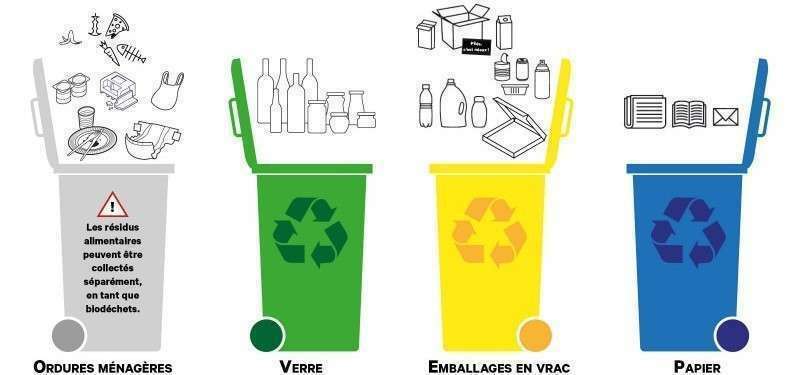 Recycler et trier les gobelets en carton en entreprise