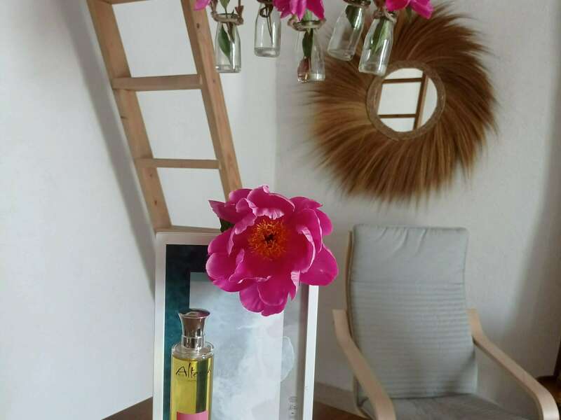 img_20230528_130029_burst1