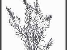images__24_