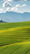 campagne vallonnée avec champs verdoyants et montagnes