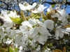 images du cabinet