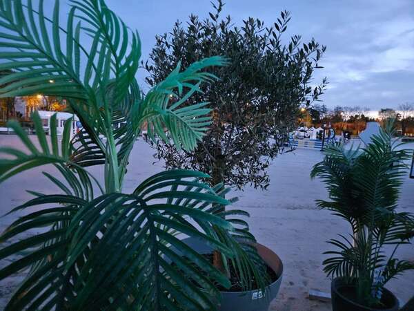 Travaux sur les carrières Molières