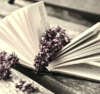 Livre ouvert lilas