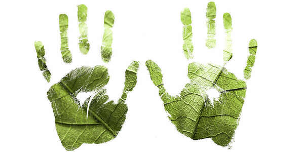 Des jeunes du quartier de la Madeleine à Evreux donnent un coup de main verte pour améliorer leur quartier