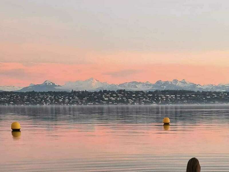 270618355_10158236373841651_6161734332774877488_n20230413-1955106-1gn74v8