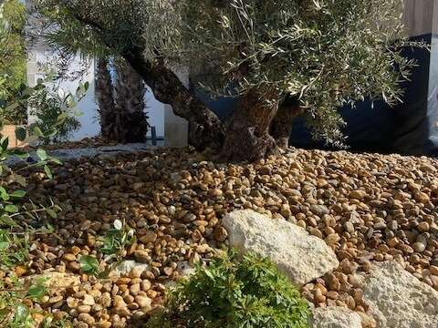 img_159920240522-495476-1pwt8eq