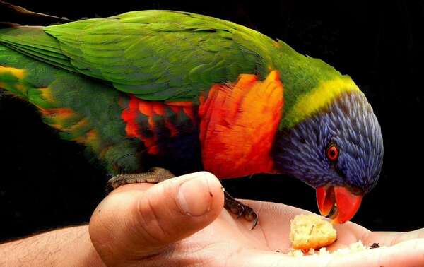 La Douceur : ses vertus thérapeutiques 