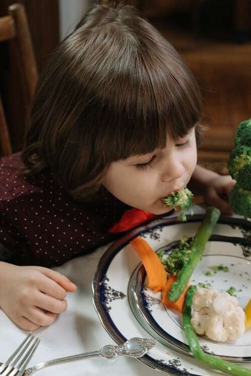 Formation Sélectivité alimentaire et TND
