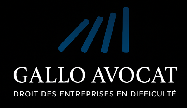 Logo Benjamin Gallo Avocat Logo Benjamin Gallo Avocat