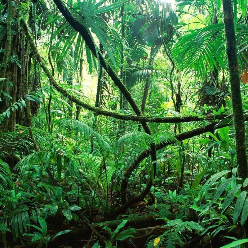 Avocat créanciers impayés