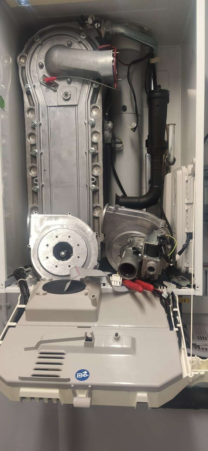 img_20210111_09201320241112-1496480-1ihsedn