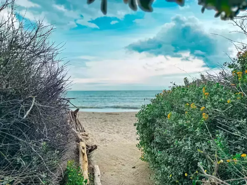 618419c2-184a-461d-b154-13abf1b9fea2