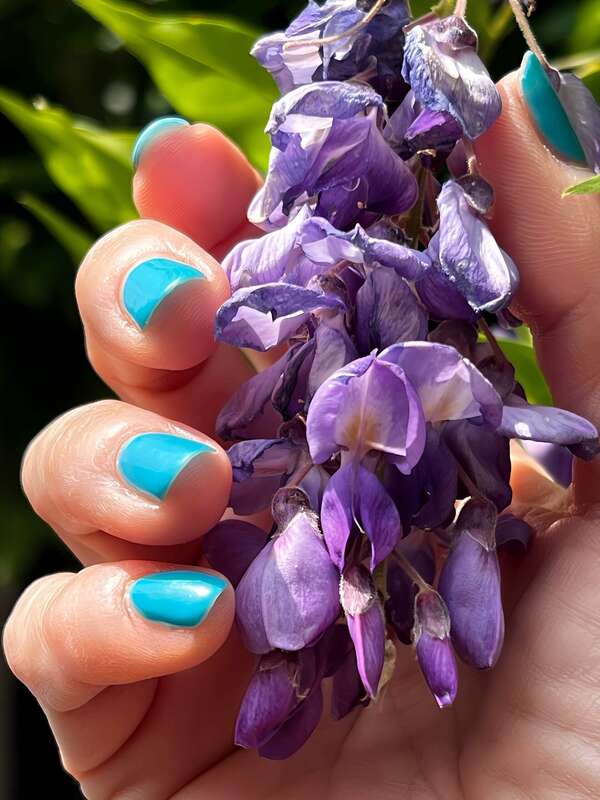 1 an de manucure 192€