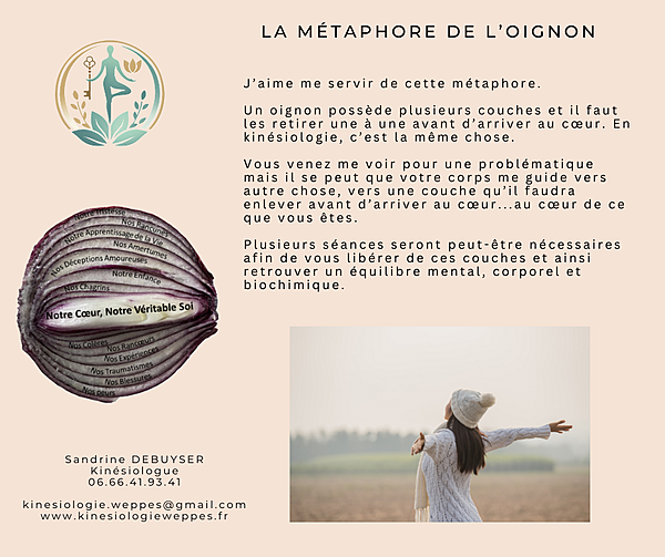 La métaphore de l'oignon