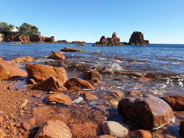 Revitalisez votre corps grâce à un environnement vibratoire de qualité