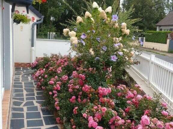 image0000