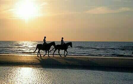 preprocessed20221109-2115615-l93g8q