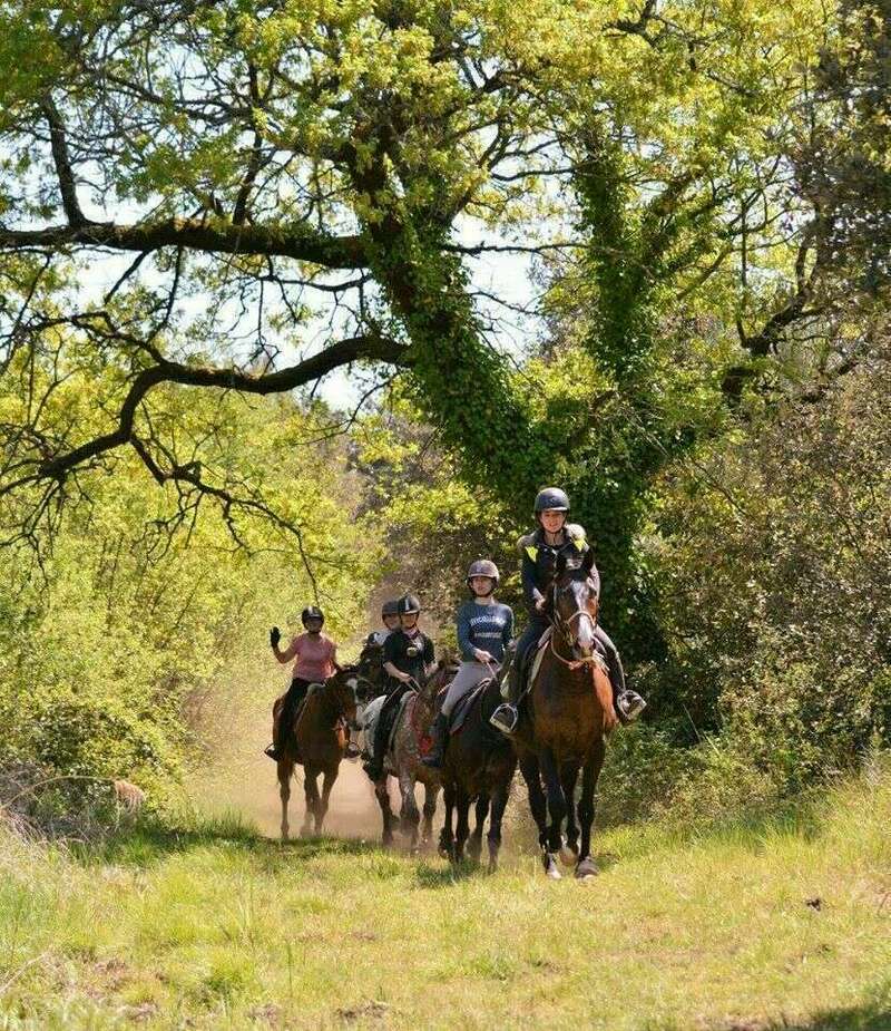 foret-220221109-2119626-qyy7d0