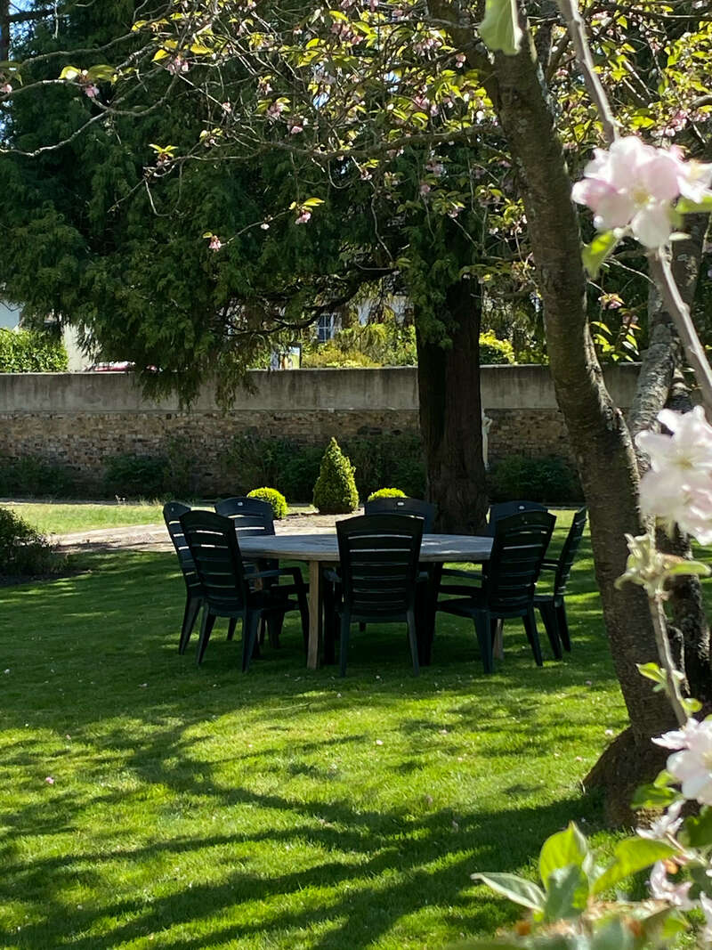 img_074720221109-1240507-x91mg0