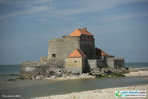 unnamed20221109-2115615-1o95pkk