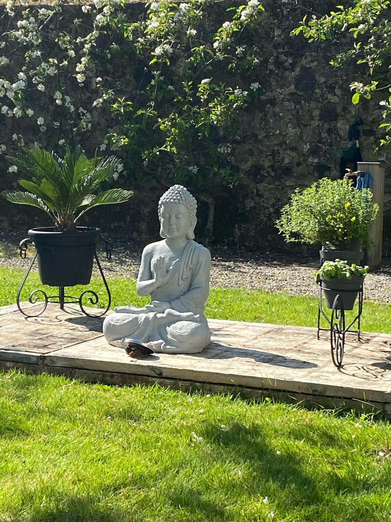 img_074620221109-1240507-bszvy9