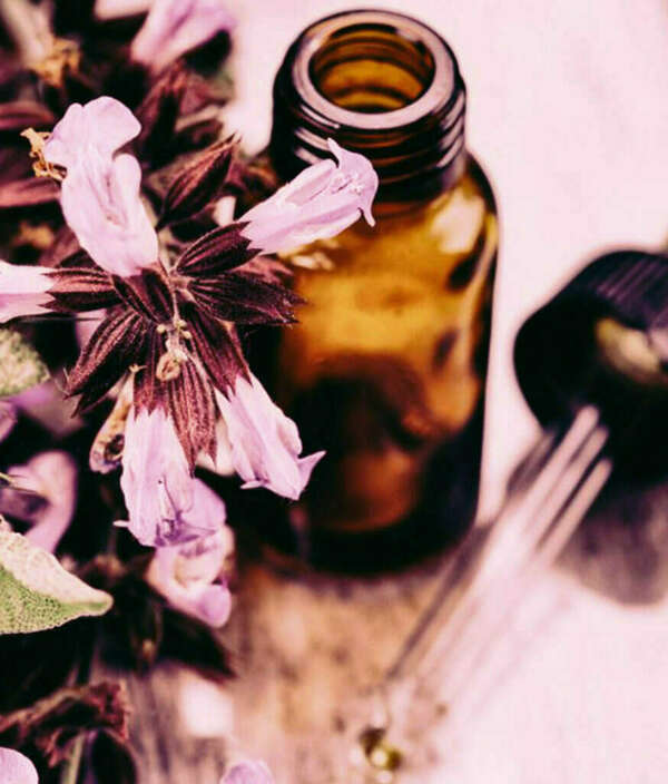 5 Fleurs pour des vacances en toute sérénité