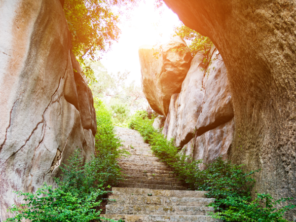 Le mystère du sentier caché : Une révélation inattendue