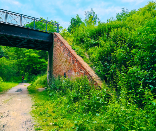  Une Marche Révélatrice 