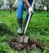 travaux