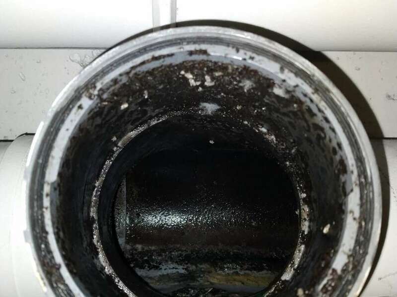 138488766_313106993434977_8174596791388320169_n