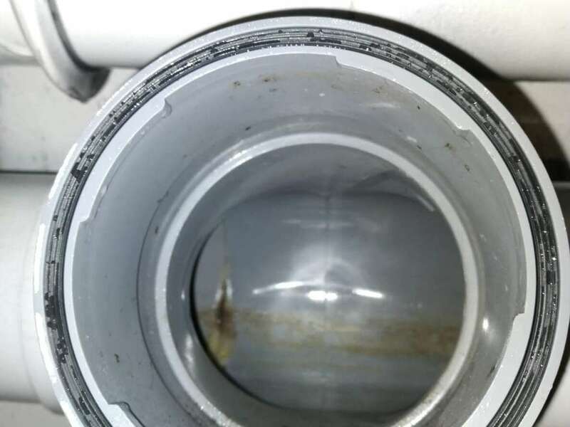 137589873_854027972054301_5854377828871553978_n