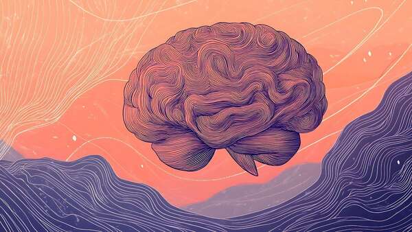 Sophrologie Et Neurosciences : Que Dit La Science Sur Ses Effets Réels Sur Le Cerveau ?