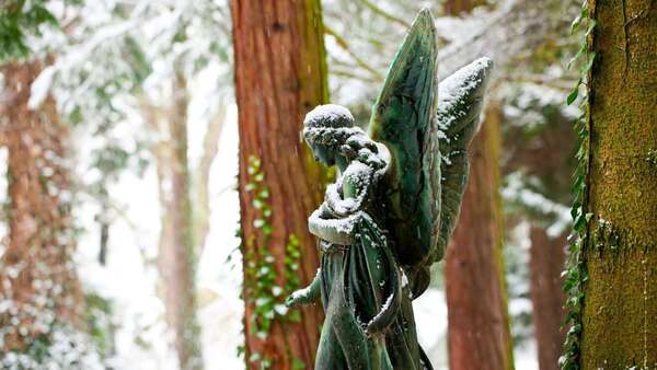 Les anges existent-ils ? Quand histoire, l'hypnose et les énergies de rencontrent