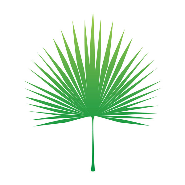 Logo Cabinet dentaire du Dr Claire DANIEL-BORDERIE