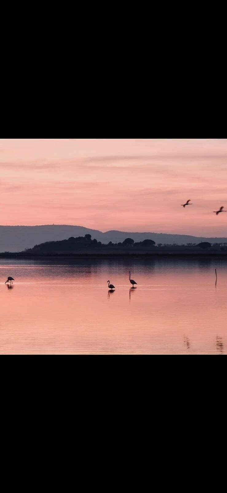 a216e5f5-6852-4371-8a00-5a353ff9fb12