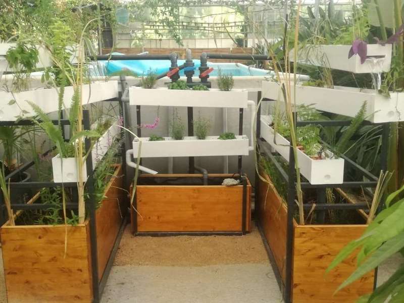 107893219_2691359101146523_8466375801624833408_n