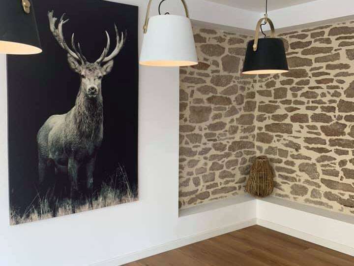 61246553_1255542467937044_8374538202534379520_n