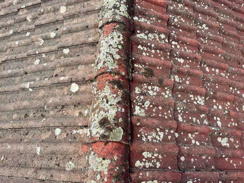 62090ccc-7c97-4807-95e8-6f99a79282e0