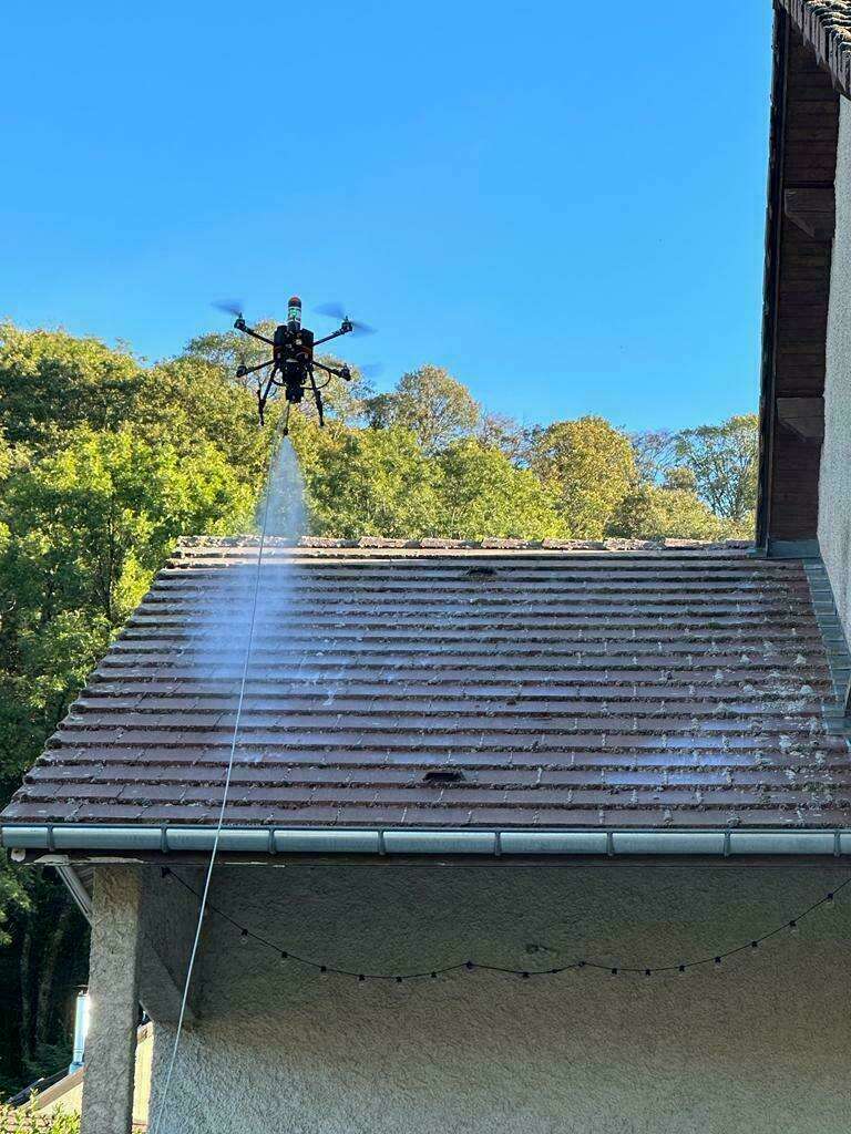 e736836a-99d9-49ad-a36b-0d1e3c955d65