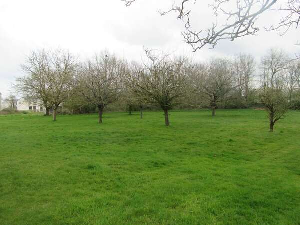 Terrain constructible