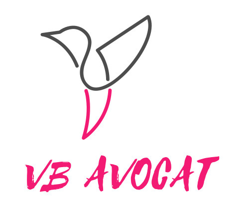 Logo Virginie BONNEROT Avocat