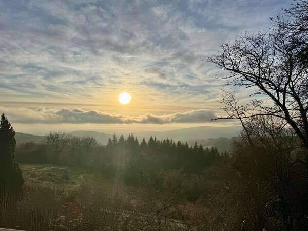 Les temps forts de la saison 2026 : Le calendrier de vos réservations