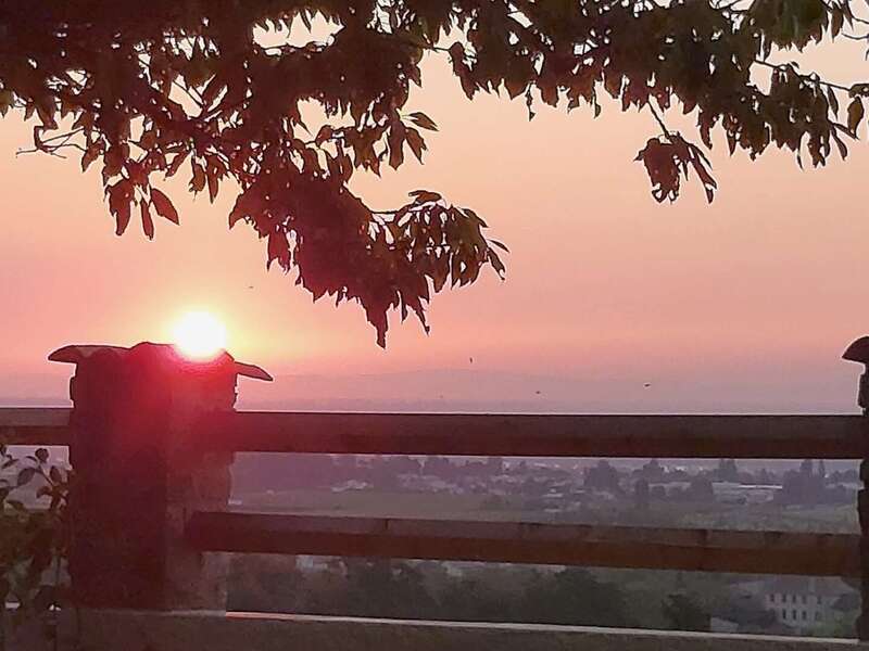 resized_20240829_070604