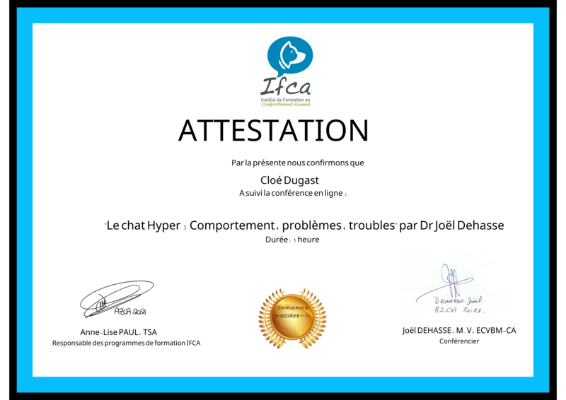 design_sans_titre__15_20250429-492086-wn1fre